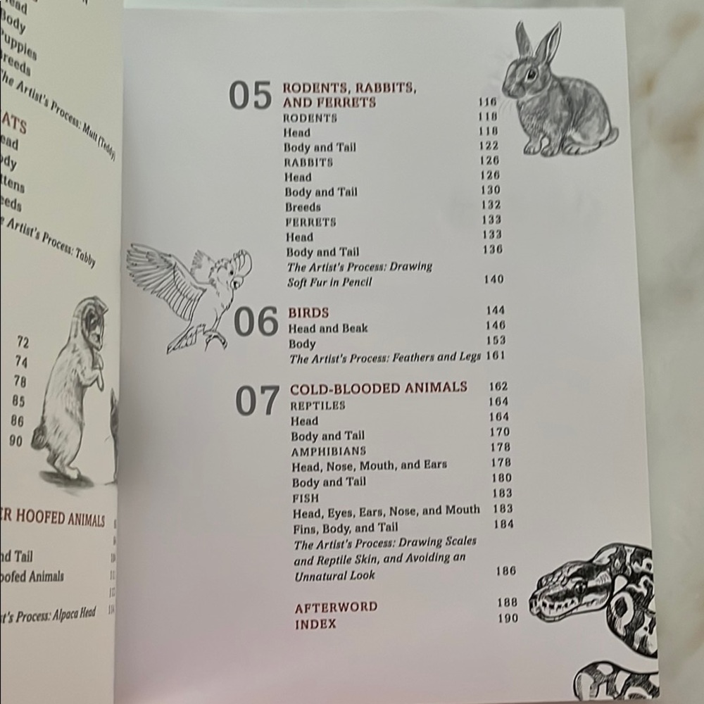 The Artist's Guide to Drawing Animals by J. C. Amberlyn - Picture 5 of 16